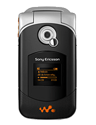 SonyEricsson W300c