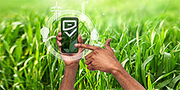 Eco Rating - Smartphones écologiques