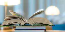 Glossaire des termes techniques utilis&eacute;s